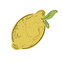 Summer Lemon Sticker by Mae Flora