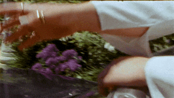 What If Love GIF by Ashley Kutcher