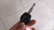 Lets Go Cars GIF by Namaste Car