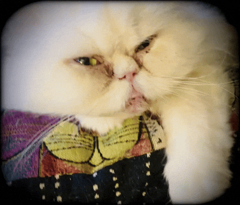 parkercross1 buck 51825 GIF