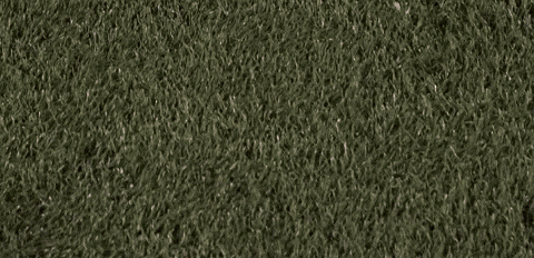 Womens Lacrosse GIF by Lafayette Leopards