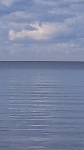 Simongip giphyupload GIF