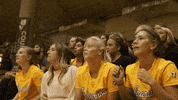 Cheer Win GIF by Valparaiso University