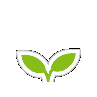 Sticker Flor Sticker