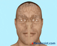 head and face injuries GIF by ePainAssist
