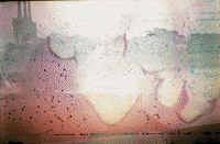 35mm tÃ¨rmica GIF by Blanca Viñas