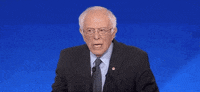 Democratic Debate GIF by GIPHY News