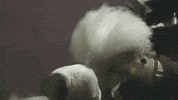 Death Metal Fun GIF by Metal Blade Records