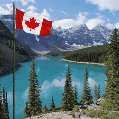 canadavisauk giphyupload essential guide for canada e visa requirements GIF