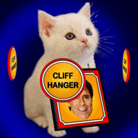 Kitten More To Come GIF