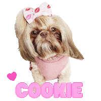 Kiss Kiss Cookie Dog Sticker