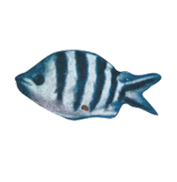 Imagined Futures Sticker by Farfetch