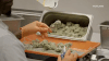 cannabis GIF by MOST EXPENSIVEST