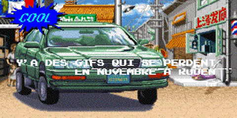 Paatrice giphygifmaker street fighter paatrice ya des gifs qui se perdent GIF
