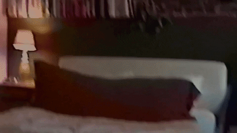 Music Video Love GIF by Ashley Kutcher