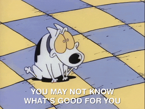 rockos modern life nicksplat GIF