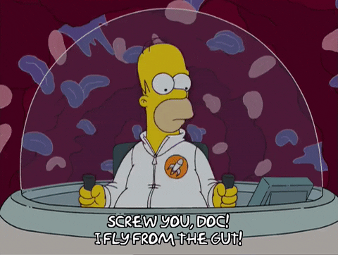 homer simpson GIF