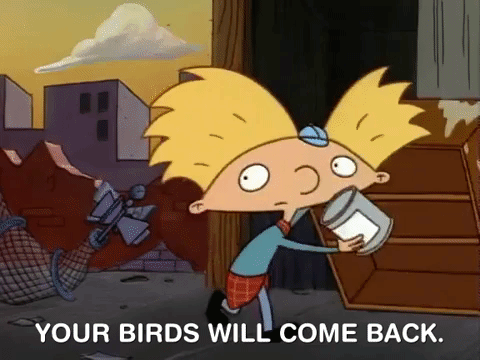 hey arnold nickelodeon GIF