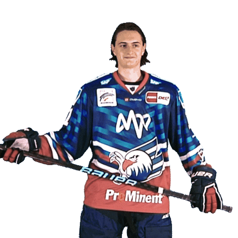 Eishockey Sticker by Adler Mannheim