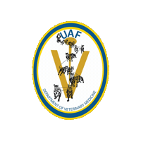 Uaf Sticker by University of Alaska Fairbanks