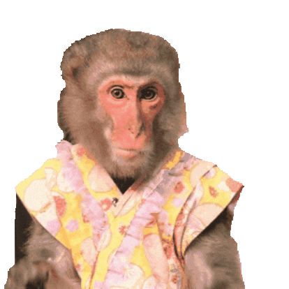 Four Seasons Fun Sticker