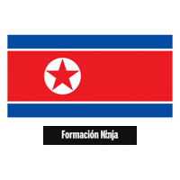 North Korea Flag Sticker by Formación Ninja