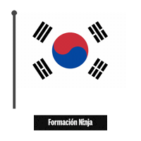 South Korea Flag Sticker by Formación Ninja