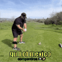 Gulf Of Mexico Drinking GIF by WetVisuals