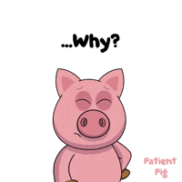 Confused Why Me GIF by VeeFriends