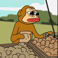 No Money Solana GIF by Ponke