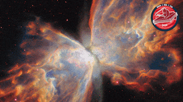 James Webb Butterfly GIF by ESA Webb Space Telescope