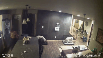 Home Security Camera Catches the Moment Earthquake Shakes Palmer