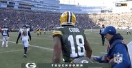 2018 Nfl Football GIF by NFL