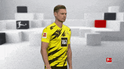 Posing Line Up GIF by Bundesliga
