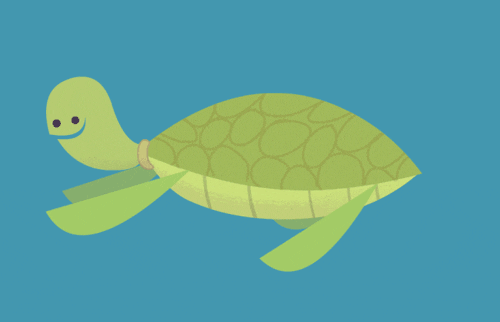 happy turtle GIF by Pasquale D'Silva