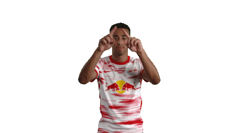Football Sport Sticker by RB Leipzig