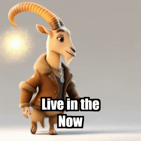 GIF by Radiantelope
