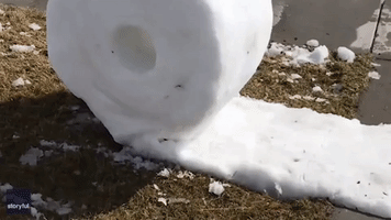 Roll With It: Colorado Family Uses Snowfall to Create Toilet Paper Display