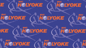 Volleyball GIF by BVC Holyoke