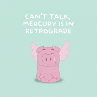 Flying Pig GIF by PositivelyPigasus