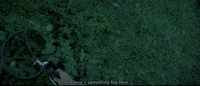 new york film festival nyff 2015 GIF by Film Society of Lincoln Center