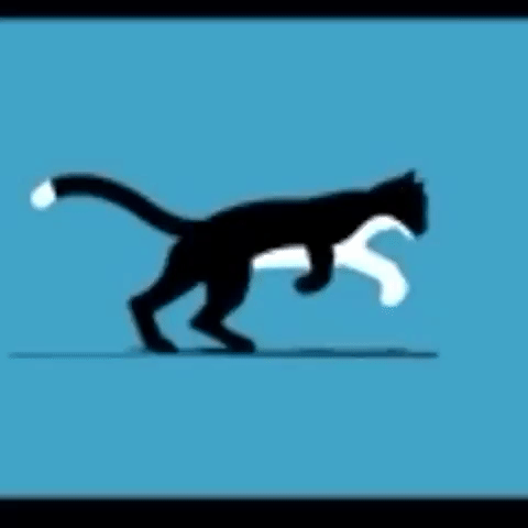 animation motion GIF by The Videobook