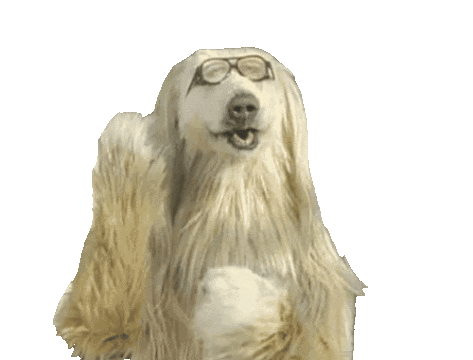 Dog Applause Sticker by Justin