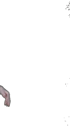 Ladydefenderbasketball Sticker by CSUDefenders