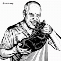 Cat Wtf GIF