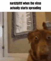 Virus Hantavirus GIF
