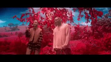 Mikey Scootie GIF by Social House
