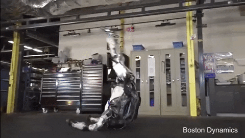 tulsimo giphygifmaker GIF