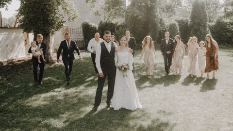 ladislavothal giphyupload GIF