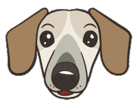 Dog Dachshund Sticker by takaramono